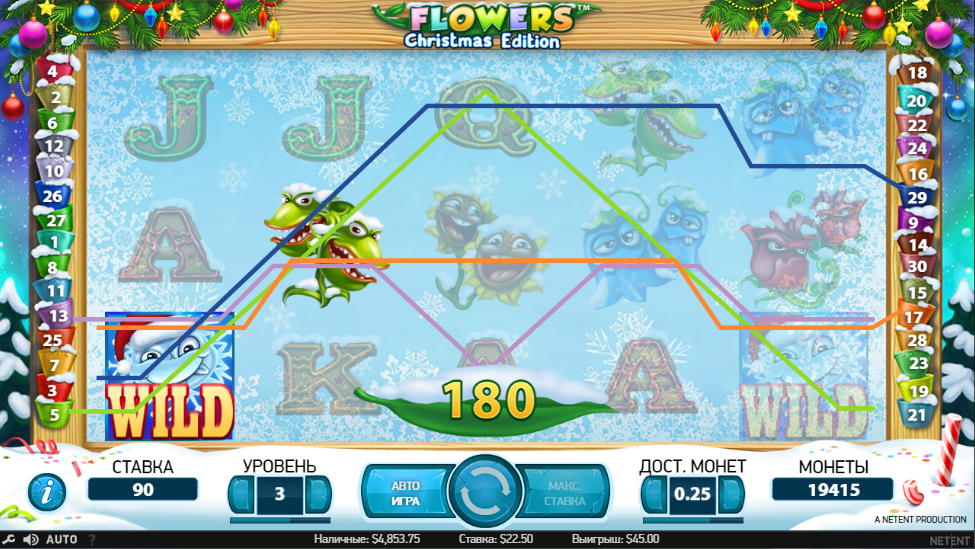 Flowers Christmas Edition